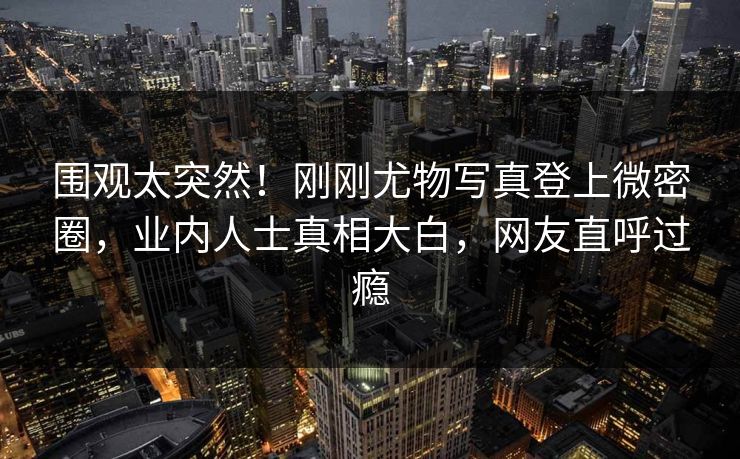 围观太突然！刚刚尤物写真登上微密圈，业内人士真相大白，网友直呼过瘾