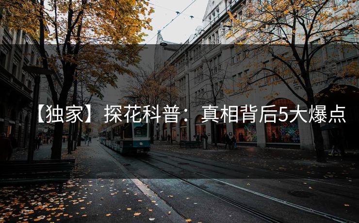 【独家】探花科普：真相背后5大爆点